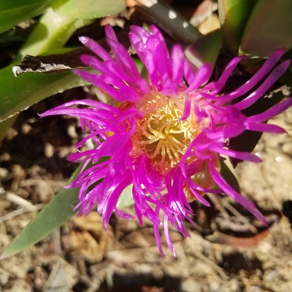 Meet your Posher, Melissa - Picture 2 of 2